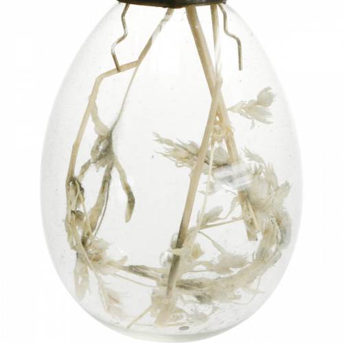 Floristik24 Uova di Pasqua con fiori secchi, uova decorative in vero vetro, decorazioni floreali pasquali da appendere, uova di vetro 8 pz