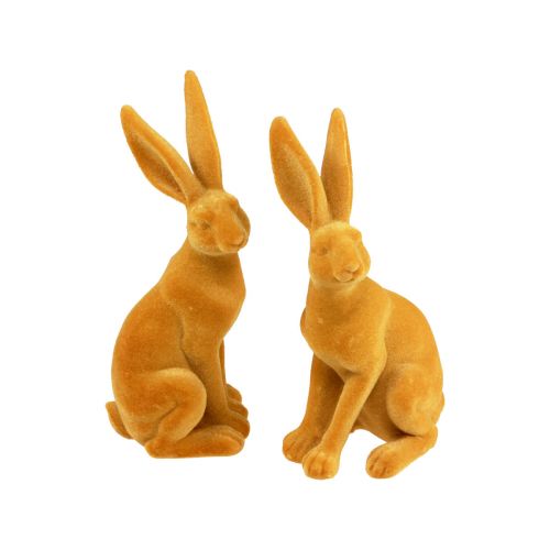 Floristik24 Figura decorativa del coniglio pasquale Coniglio pasquale al curry giallo H12,5 cm 2 pezzi