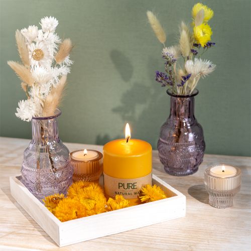 Floristik24 Candela a colonna PURE giallo miele Candele Wenzel 90×70 mm