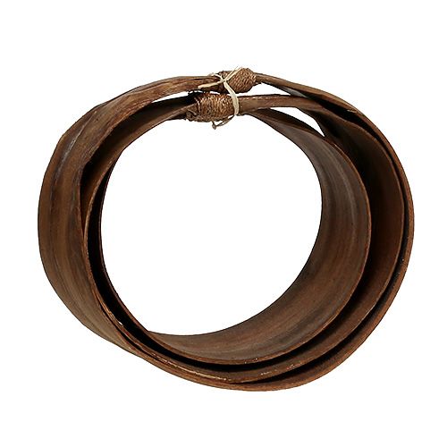 Floristik24 Set di foglie di palma natura 21 cm -26 cm