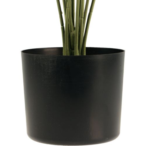 Floristik24 Vaso decorativo per piante artificiali di palma a ventaglio verde 80 cm