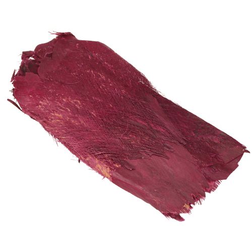 Floristik24 Decorazione naturale in fibra di palma, fibra naturale, bacca 25-50 cm 250 g