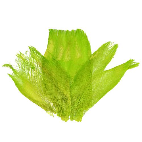 Fibra di palma pastello verde chiaro 400gr