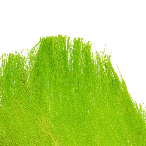 Fibra di palma pastello verde chiaro 400gr