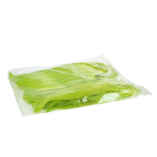 Floristik24 Fibra di palma pastello verde chiaro 400gr