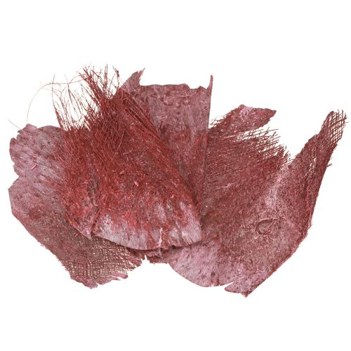 Floristik24 Fibra di palma per artigianato Bordeaux bianco lavato 20-40cm 250g