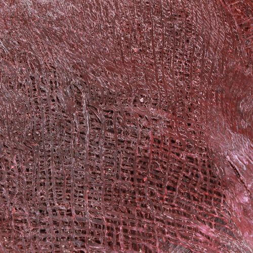 Prodotto Fibra di palma per artigianato Bordeaux bianco lavato 20-40cm 250g