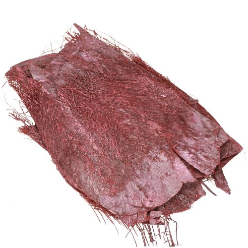 Prodotto Fibra di palma per artigianato Bordeaux bianco lavato 20-40cm 250g