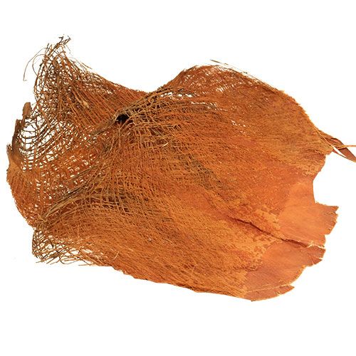 Fibra di palma naturale 1kg
