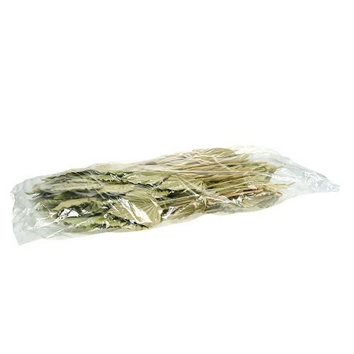 Prodotto Palmspear verde mela sbiancato 65 pz