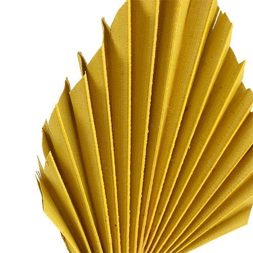 Prodotto Palmspear Giallo 65 pz