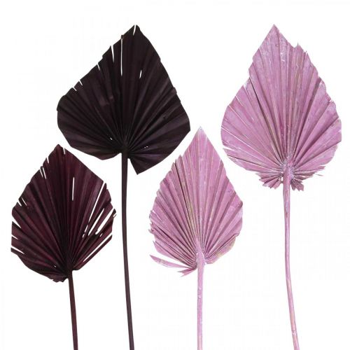 Prodotto Palmspear Mix Bacche Rosa, Fiorista Commemorativa Lavata Bianca 65 pz