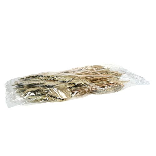 Prodotto Lancia di palma Naturale 100 pz