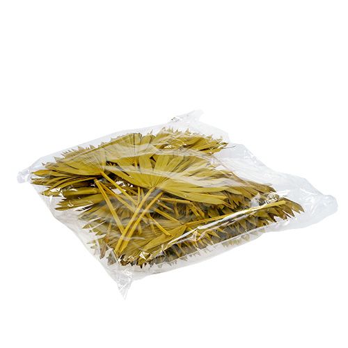 Prodotto Palmspear Sun mini giallo 50 pz