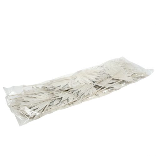 Prodotto Palmspear Sun mini imbiancato 50 pz