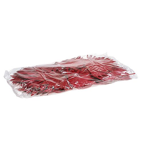 Prodotto Palmspear Sun Rosso 30 pz