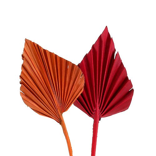 Mini tipo Palmspear. Rosso/Arancio 100pz