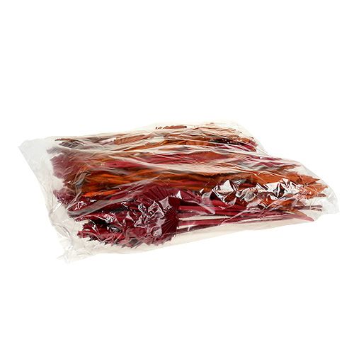 Prodotto Mini tipo Palmspear. Rosso/Arancio 100 pz
