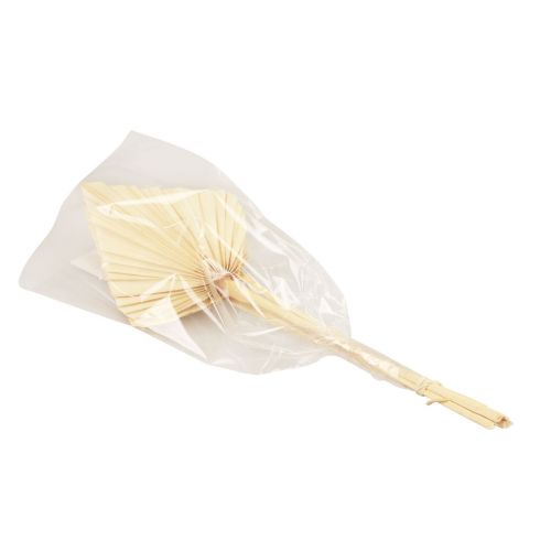 Floristik24 Foglie di palma Palmspear decoro naturale sbiancato cm 12,5×38 4 pz