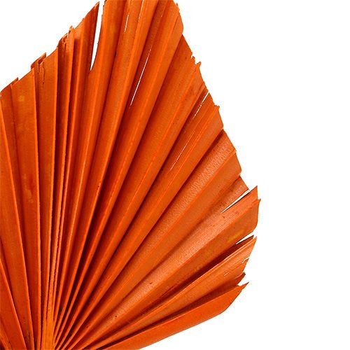 Prodotto Arancio Palmspear 65 pz