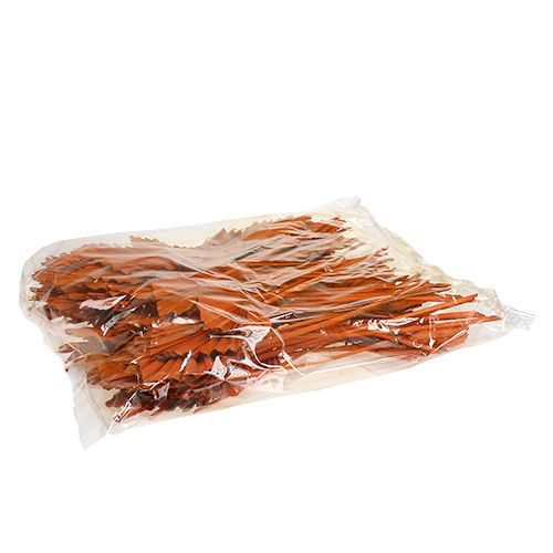 Prodotto Arancio Palmspear 65 pz