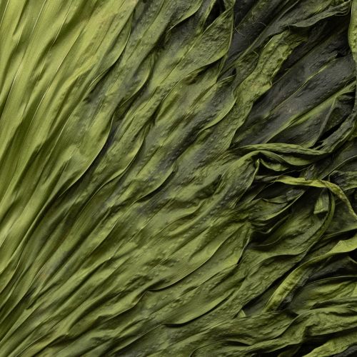 Floristik24 Decorazione di foglie secche di palma Saribus verde 45cm 5 pezzi