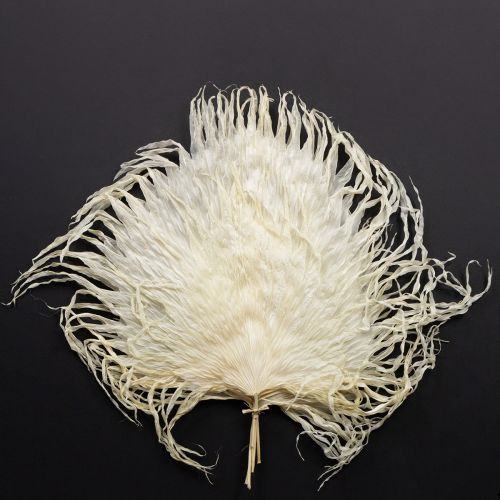 Fronde di palma secche, foglie decorative sbiancate, 45 cm, 5 pezzi