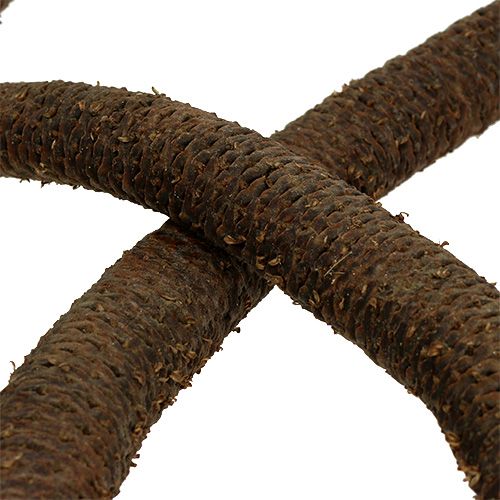 Floristik24 Coni di palma decorazione naturale 3 volte 10 pz