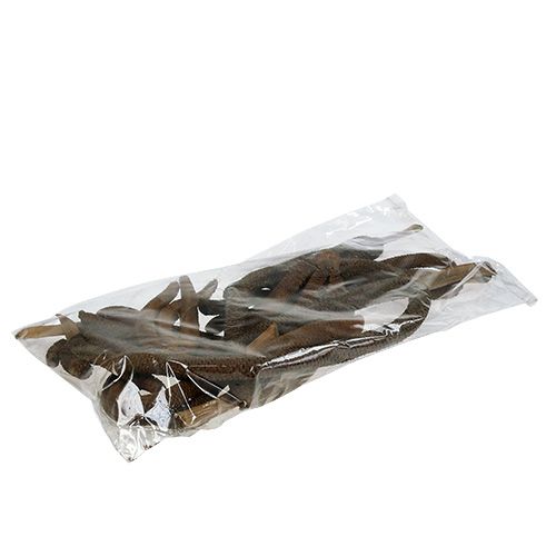 Floristik24 Coni di palma decorazione naturale 3 volte 10 pz