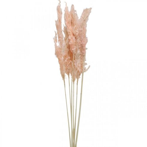 Prodotto Decorazione naturale di fiori secchi rosa erba di pampa essiccata 65-75 cm 6 pezzi
