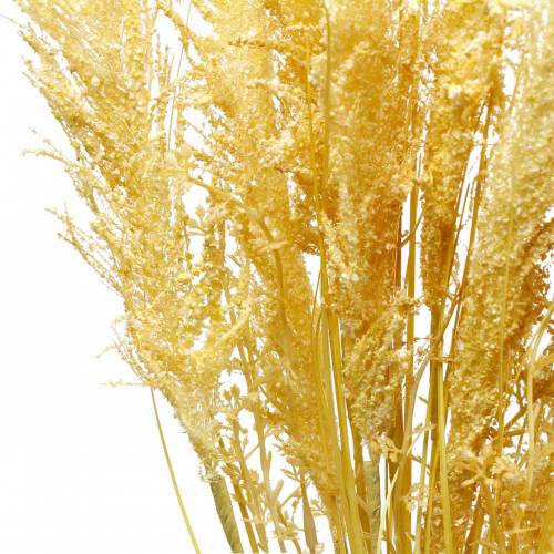 Prodotto Pampa erba gialla Erba ornamentale artificiale Floricoltura secca 3 pezzi