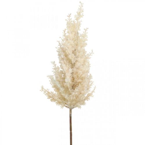 Floristik24 Pampas Grass Cream Artificiale Secco Floristica Deco Grass 72cm