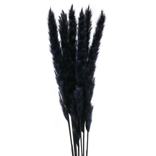 Erba di pampas decorazione secca secca nera L72cm 6