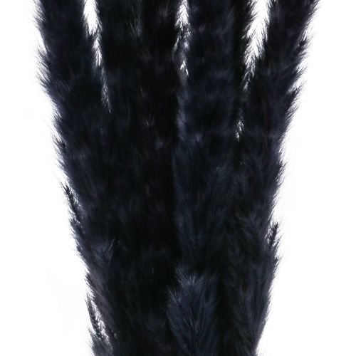 Prodotto Erba di pampa nera essiccata decorazione a secco L72cm 6 pz