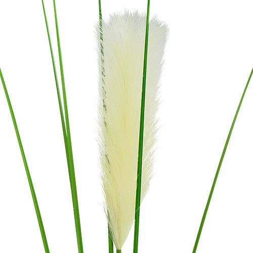 Floristik24 Pampa erba fronda verde crema H100cm