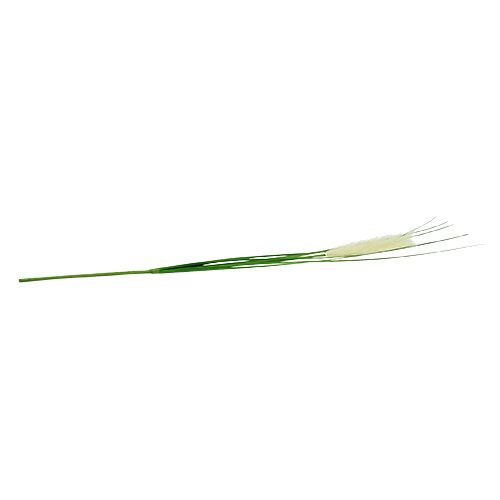 Floristik24 Pampa erba fronda verde crema H100cm