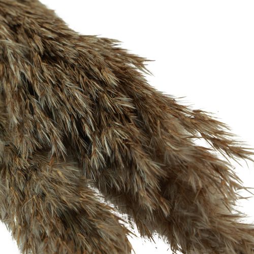 Prodotto Erba di pampa essiccata erba secca decorativa naturale 95 cm 3 pz