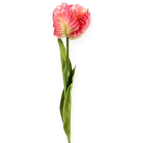 Floristik24 Parrot Tulip Pink 71cm 3 pezzi