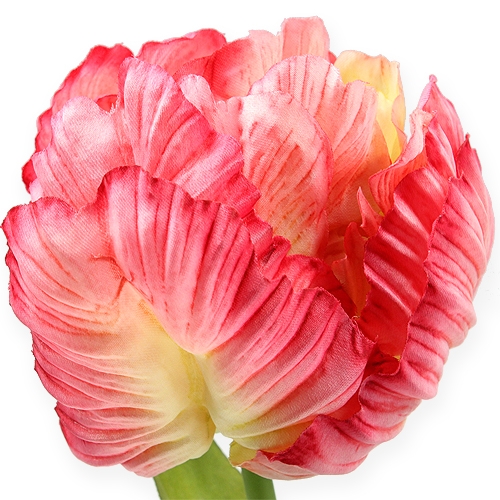 Floristik24 Parrot Tulip Pink 71cm 3 pezzi