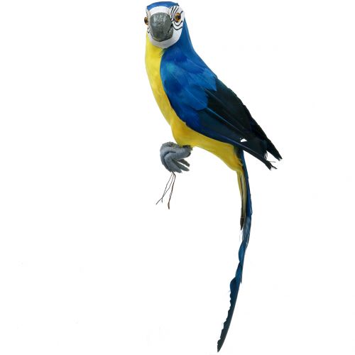 Deco Parrot Blue 44cm