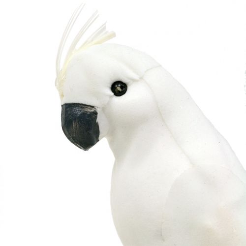 Prodotto Pappagalli con piume bianche Uccello decorativo cacatua artificiale 4 pezzi