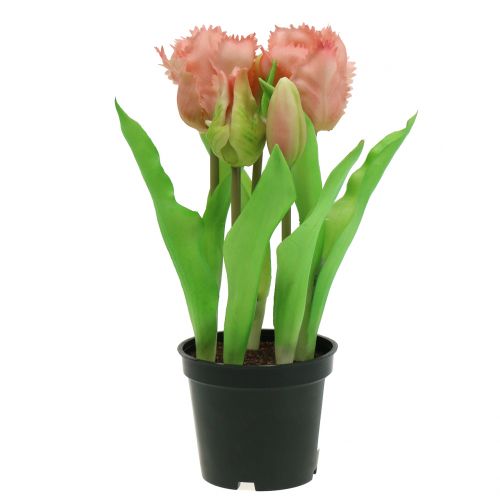 Floristik24 Parrot Tulip Real-Touch in vaso rosa 23cm