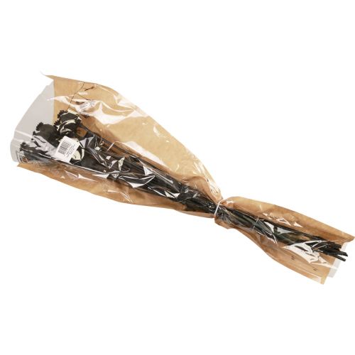 Floristik24 Capsule di fiori secchi di papavero essiccati Papaver nero 80g