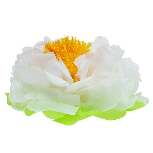 Floristik24 Fiore di carta Ø28cm da appendere verde-bianco