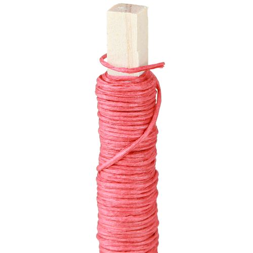 Prodotto Cavo di carta avvolto Ø0.8mm 22m rosso