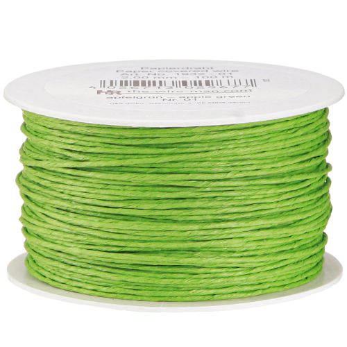 Floristik24 Cordino di carta avvolto in filo Ø2mm 100m verde mela