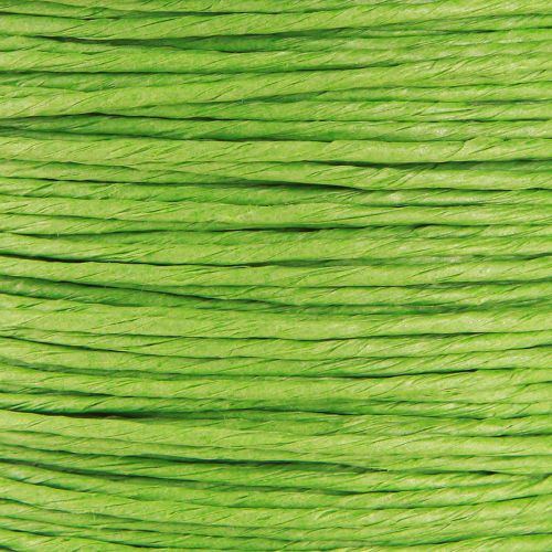 Prodotto Cordino di carta avvolto in filo Ø2mm 100m verde mela