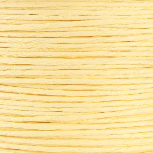 Prodotto Cordino di carta avvolto in filo Ø2mm 100m champagne