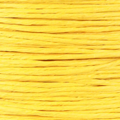 Prodotto Cordino di carta avvolto in filo Ø2mm 100m giallo