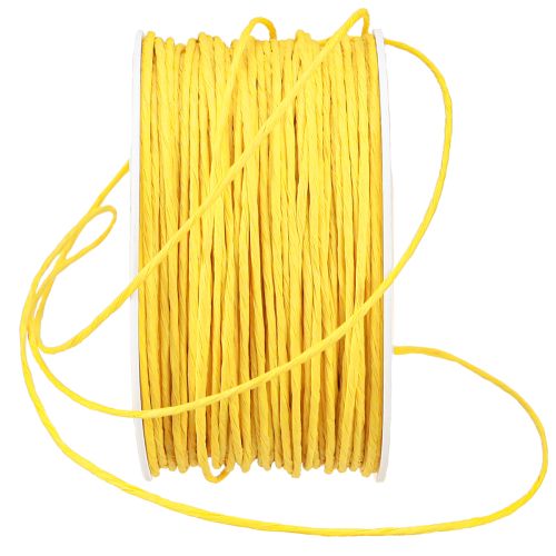 Prodotto Cordino di carta avvolto in filo Ø2mm 100m giallo